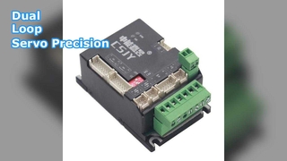 डुअल-लूप सर्वो ड्राइवर